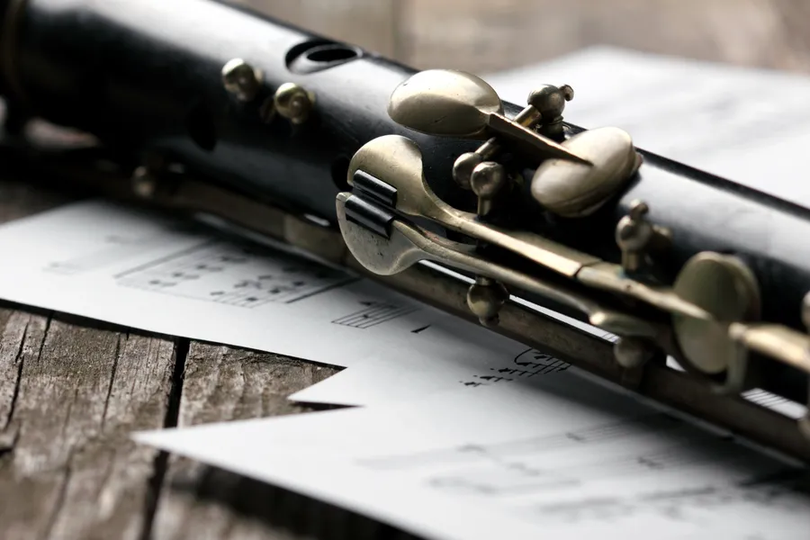 A Look at the Best Irish Flute Players